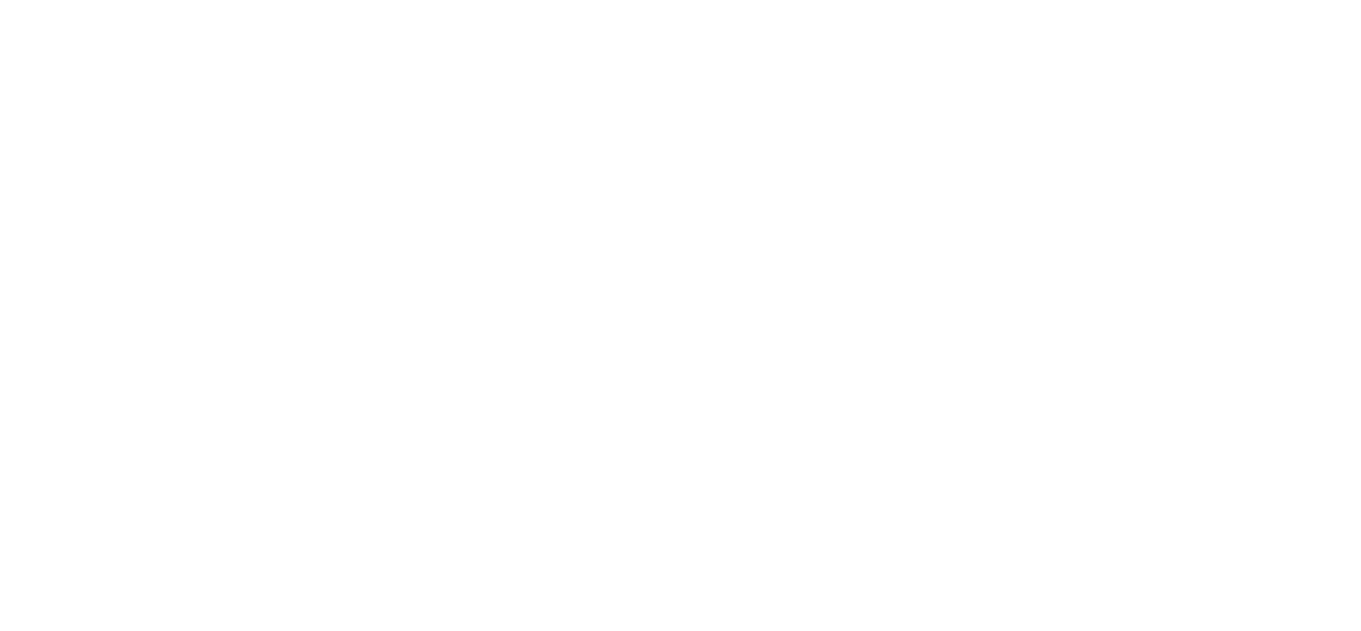 mivisa